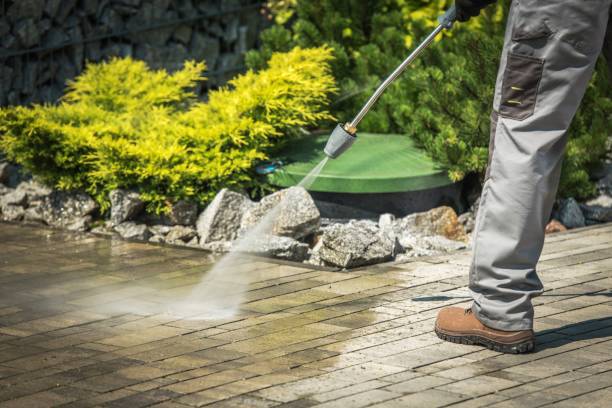 Best Boat and Dock Cleaning  in Escobares, TX