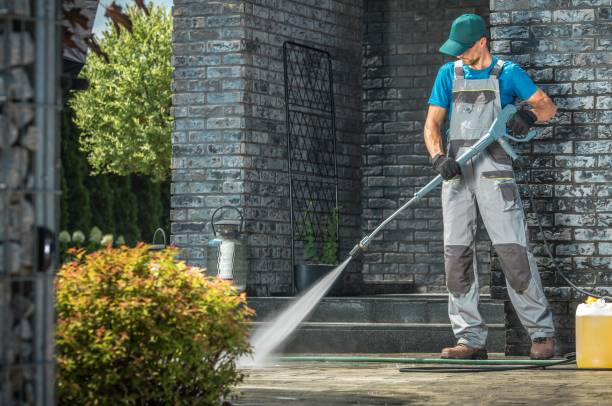Best Sign and Awning Cleaning  in Escobares, TX