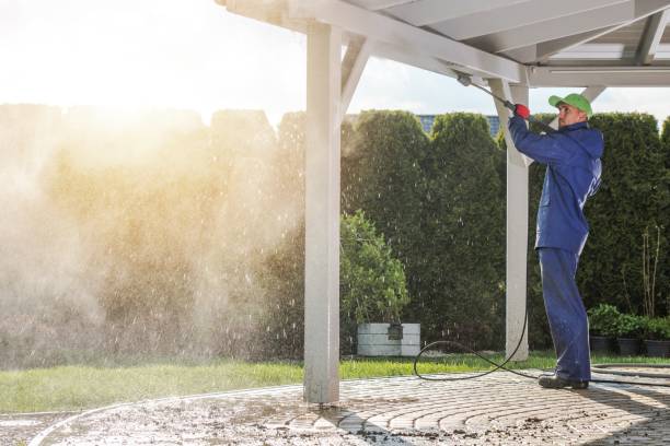 Best Gutter Cleaning  in Escobares, TX