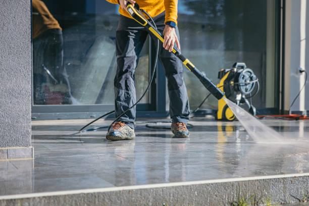 Best Patio and Deck Pressure Washing  in Escobares, TX