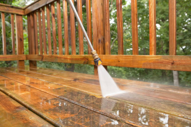 Best Animal Enclosure Cleaning  in Escobares, TX